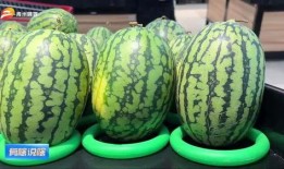 潍坊吃瓜最新爆料新闻,最新爆料揭秘幕后真相